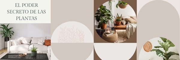 Simbolismo y Energía de las plantas