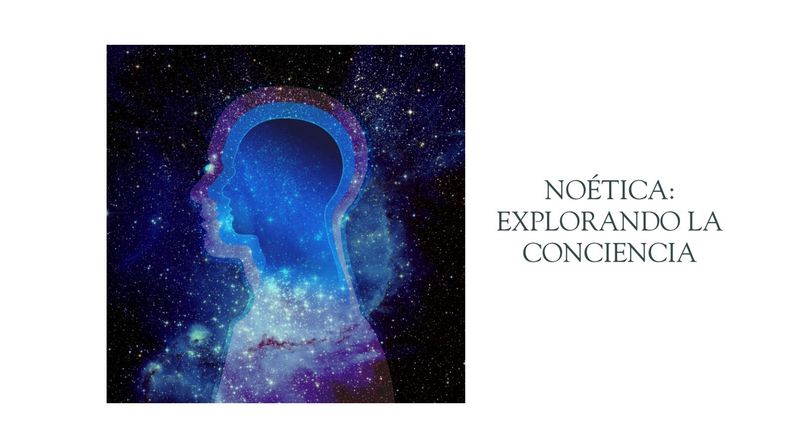 Noética: Las grandes preguntas
