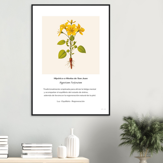 89fc6de7-2c0a-4707-8bcd-2d067f53db4f