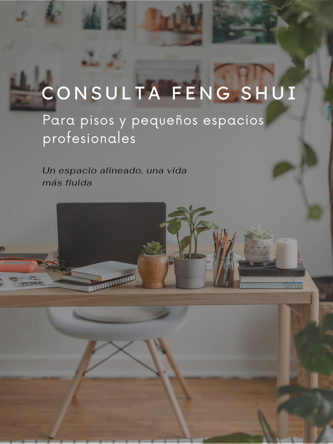 Consulta Feng Shui para pisos y pequeños espacios profesionales, portada con escritorio de madera, portátil, plantas y ambiente luminoso y armonioso.