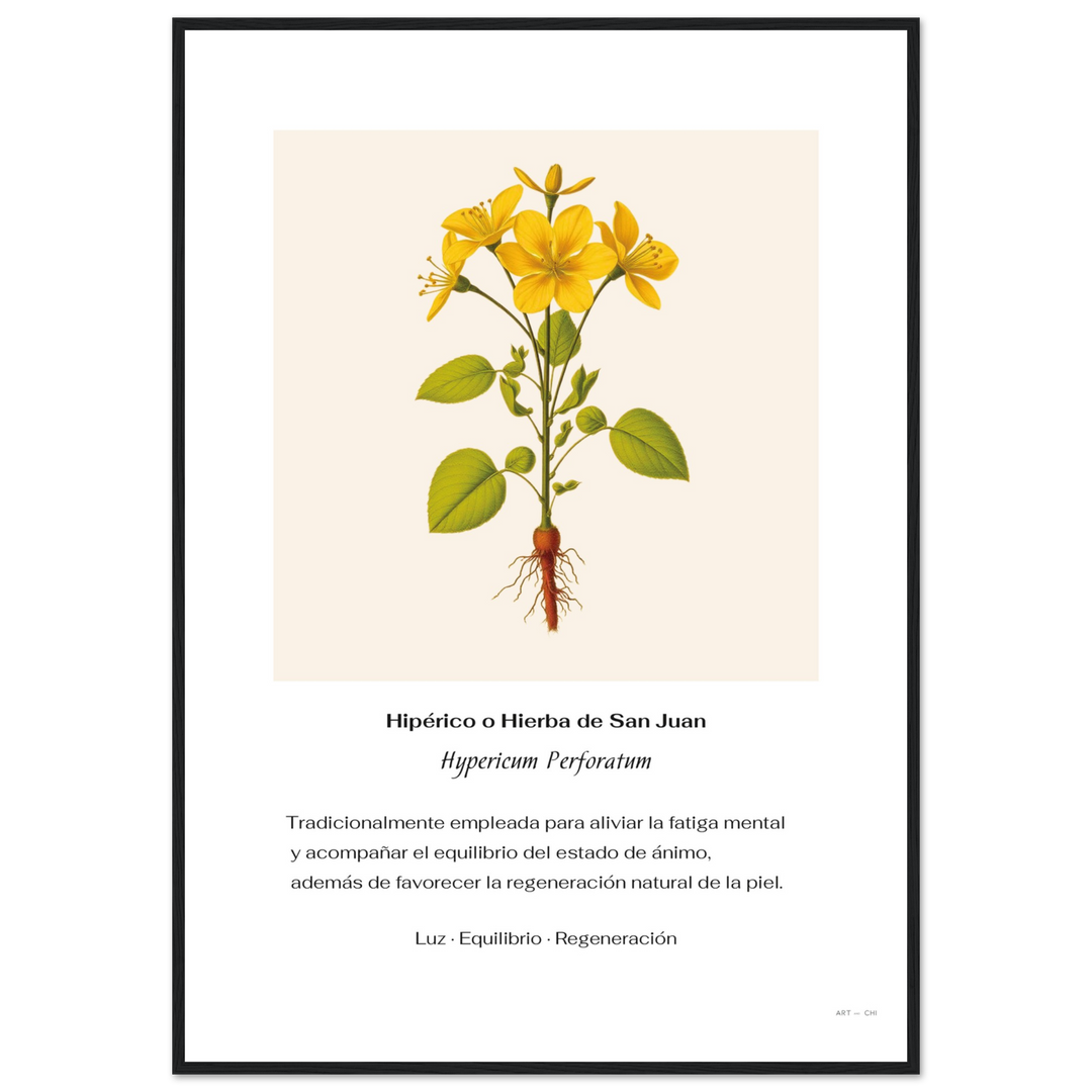 b74c00f9-4069-48de-a319-e47198da3d97