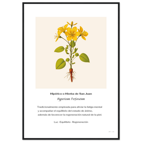 b74c00f9-4069-48de-a319-e47198da3d97