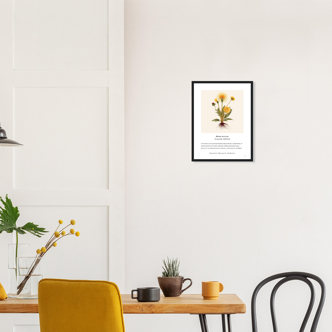 Ilustración botánica vintage de Diente de León Taraxacum officinale con raíces visibles