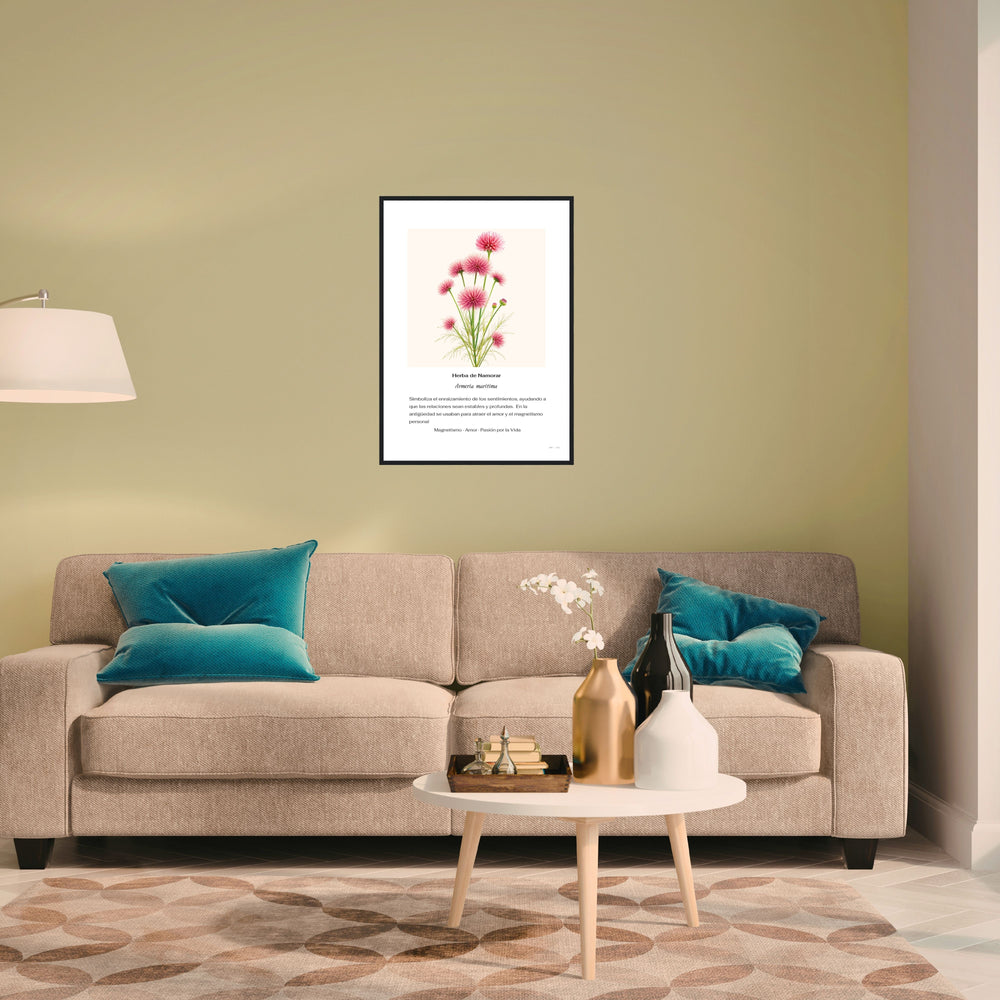 Botánica Contemporánea | Herba de Namorar